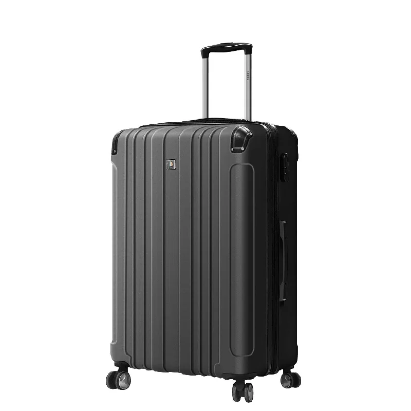 Luggage (24")